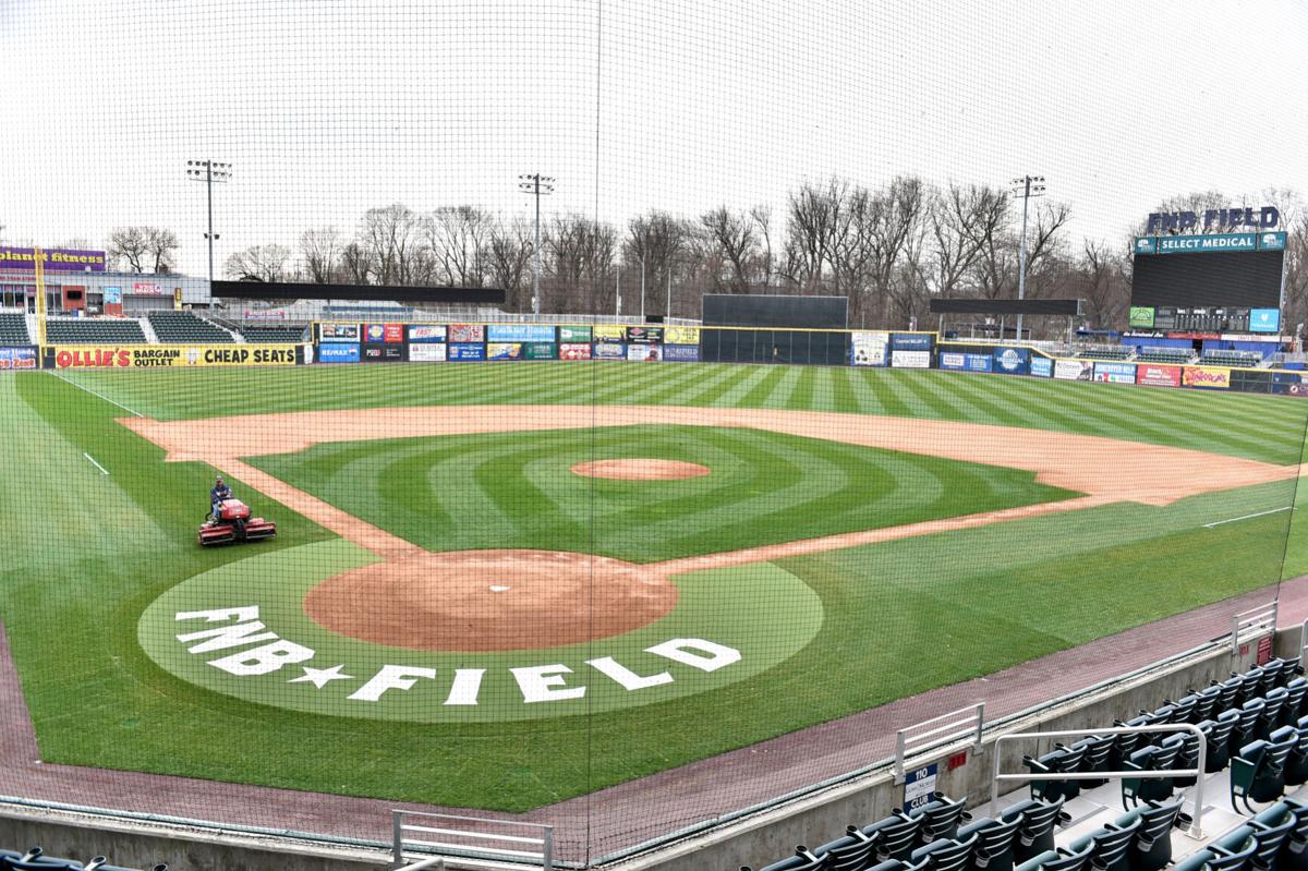 Harrisburg Senators Official Store