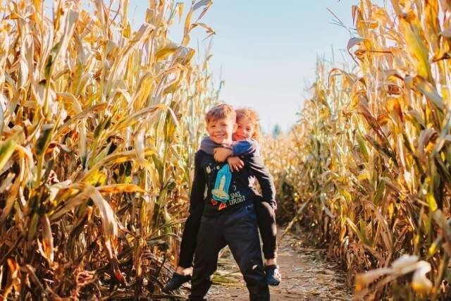 16 Corn Mazes in Pennsylvania to Visit This Fall
