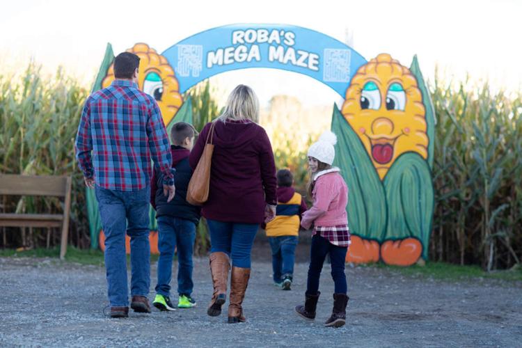 16 Corn Mazes in Pennsylvania to Visit This Fall