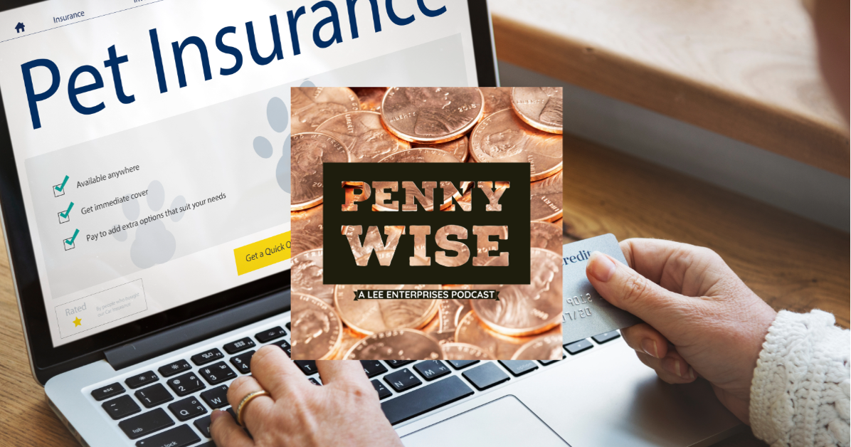 Pet insurance 101: Is it worth it for your furry friend? | PennyWise podcast