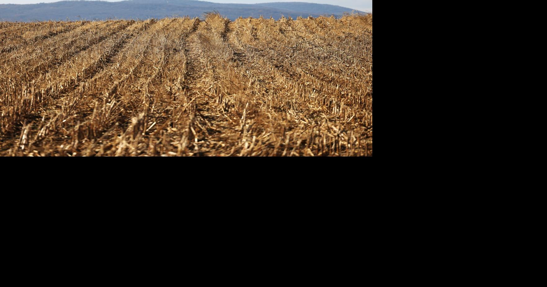Upper Allen residents to vote on land preservation referendum in November