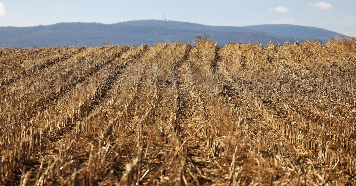 Upper Allen residents to vote on land preservation referendum in November