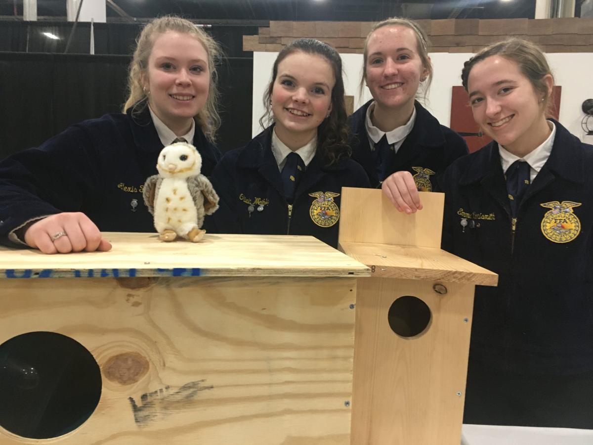 Boxes Could Help Birds Of Prey Students Say The Sentinel News