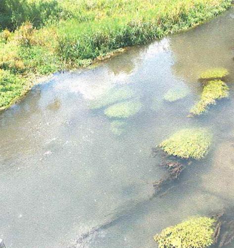 Where Is Letort Spring Explanations differ on causes for LeTort Spring Run plant kill