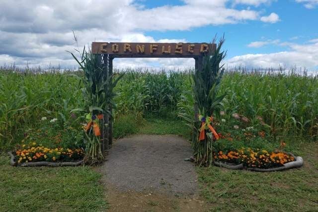 16 Corn Mazes in Pennsylvania to Visit This Fall