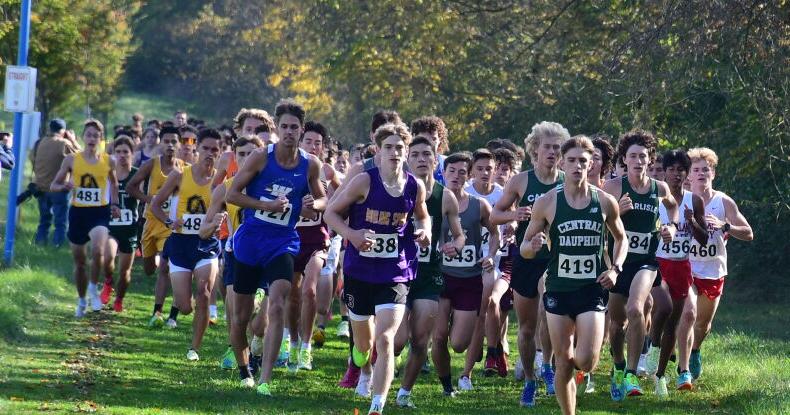 PIAA Cross Country: Local runners head to Hershey for 2022 state ...