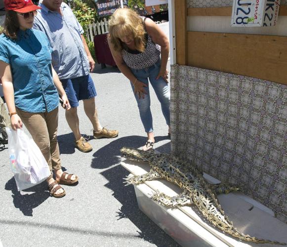 Crowds flock to Foundry Day in Boiling Springs