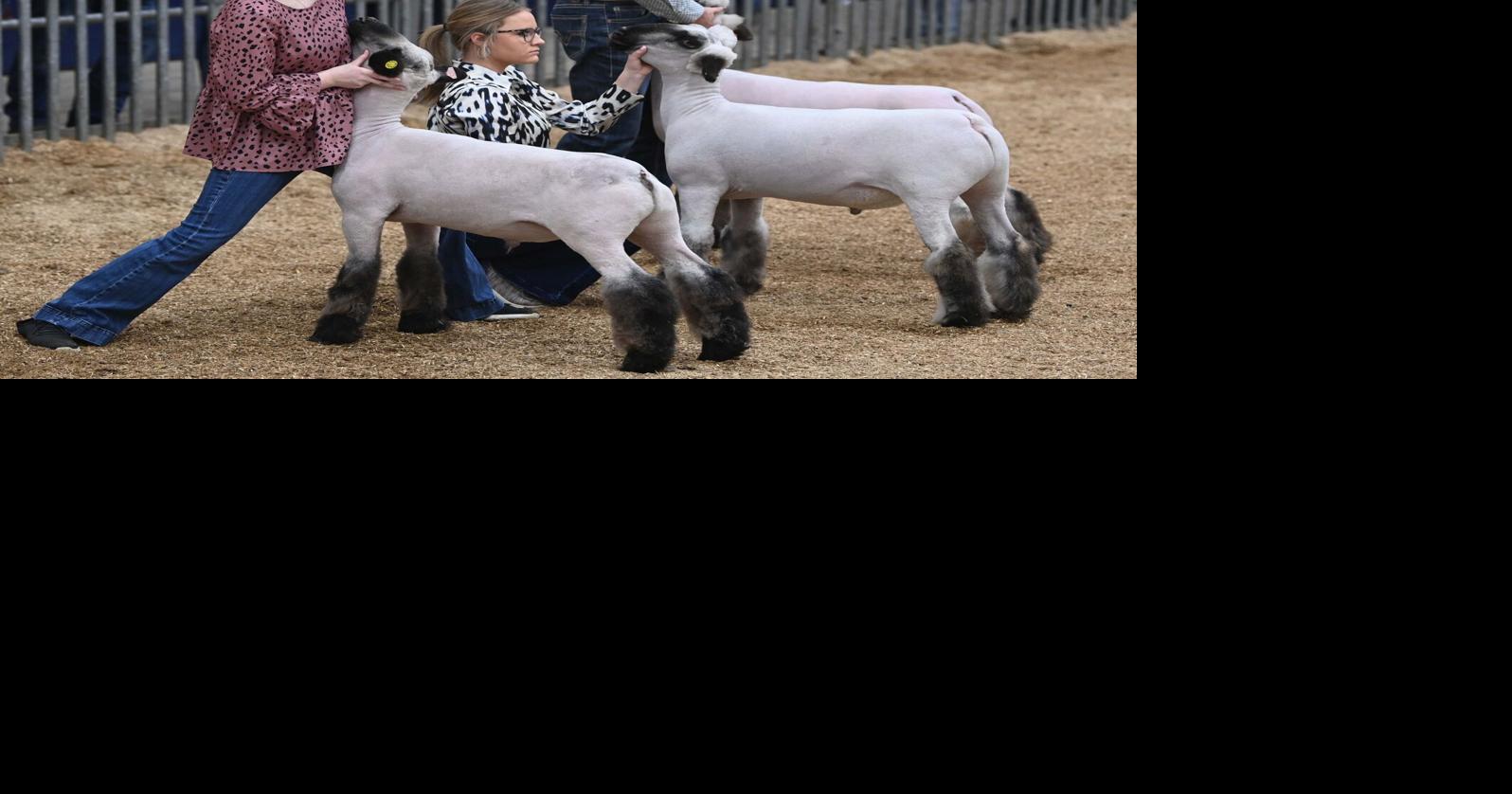 PA Farm show 21.JPG