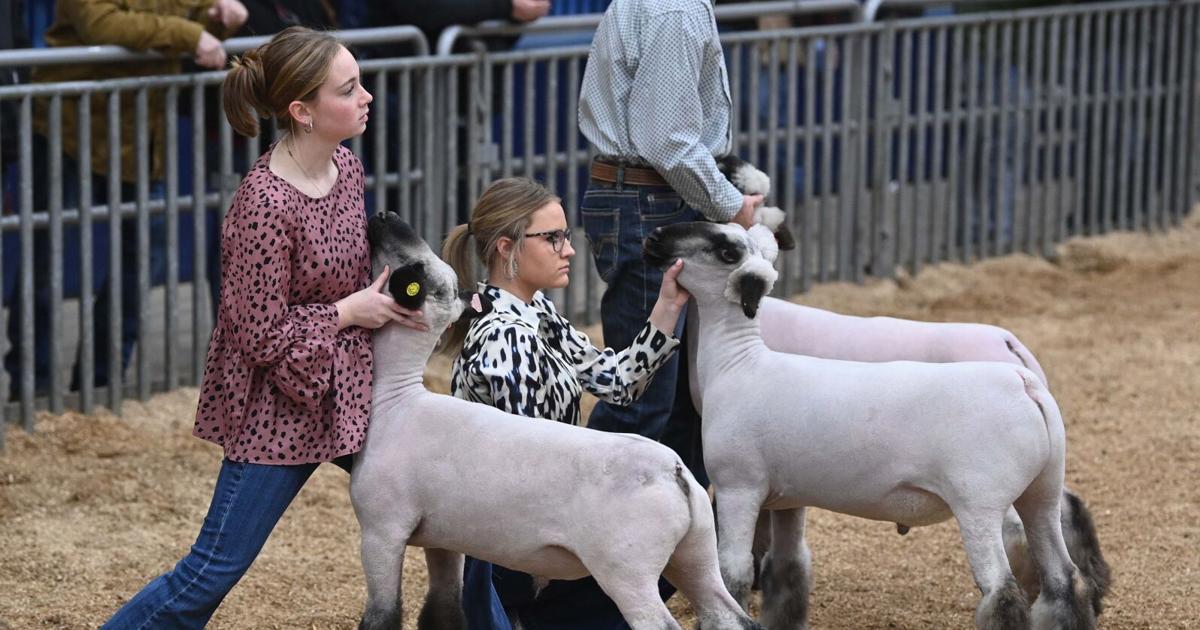 PA Farm show 21.JPG PA Farm show 21.JPG