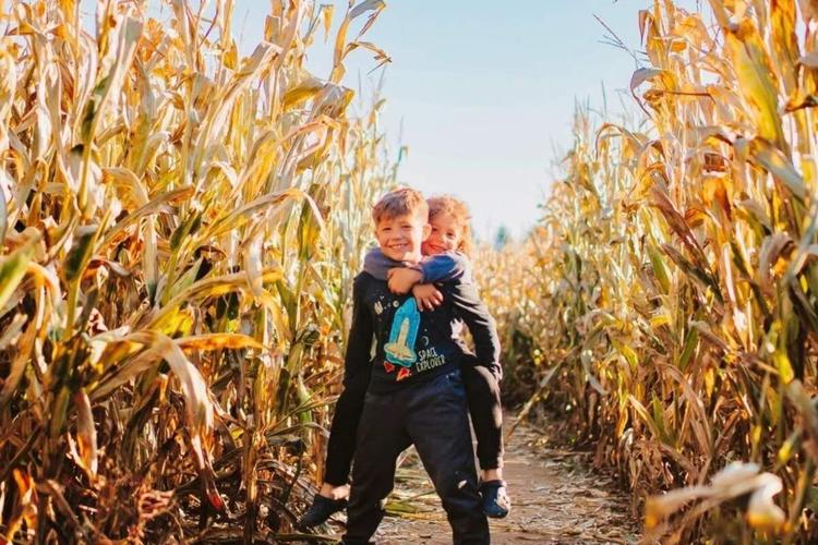 16 Corn Mazes in Pennsylvania to Visit This Fall