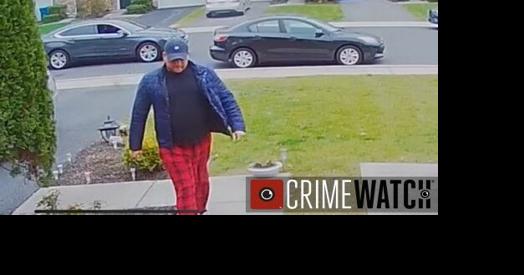 Sentinel police log for Nov. 30 - Vimarsana News
