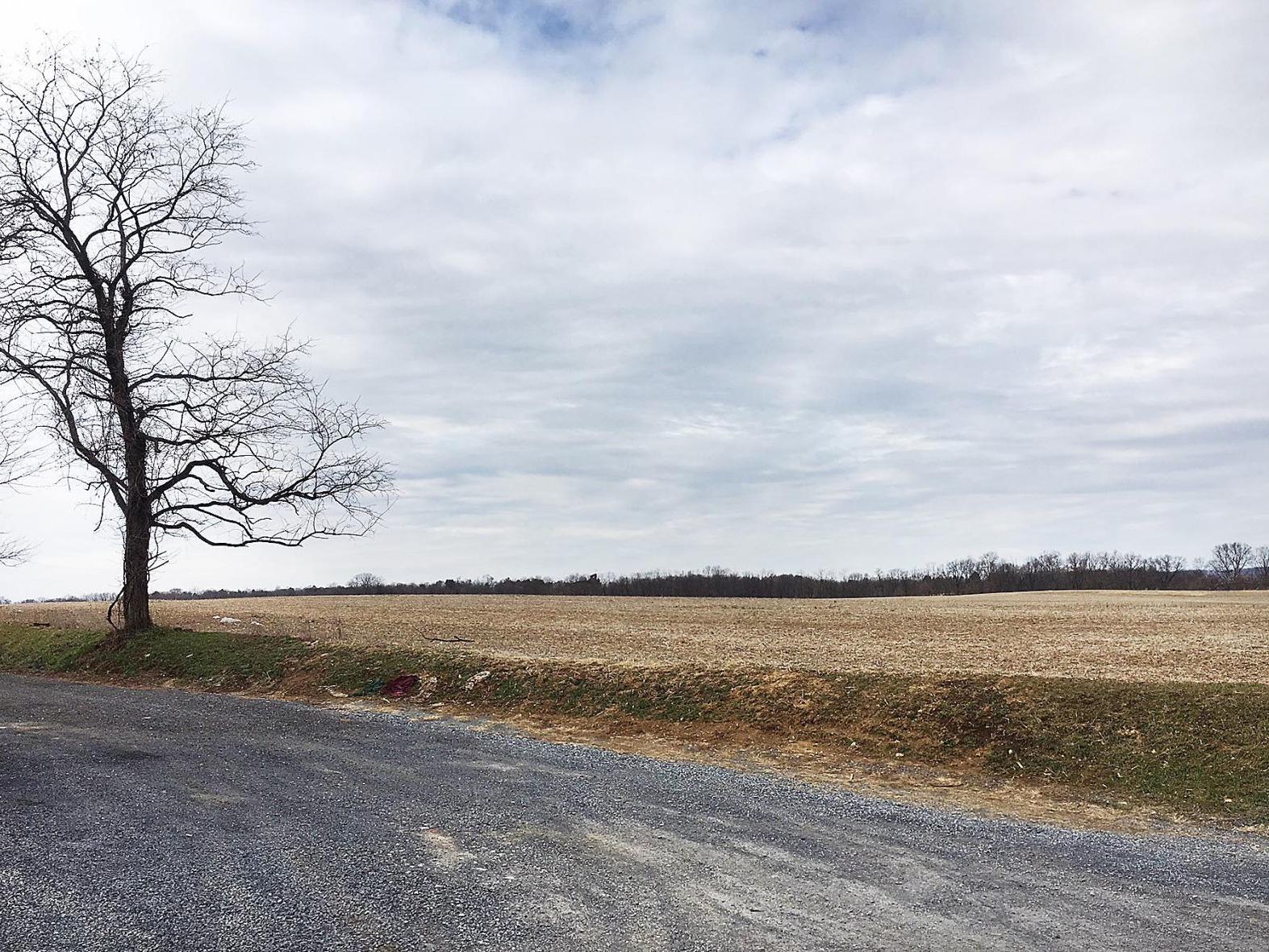 Cv School District Will Likely Continue Land Search After