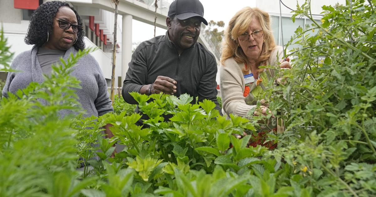 Combating Social Isolation Community involvement is key to combating social isolation