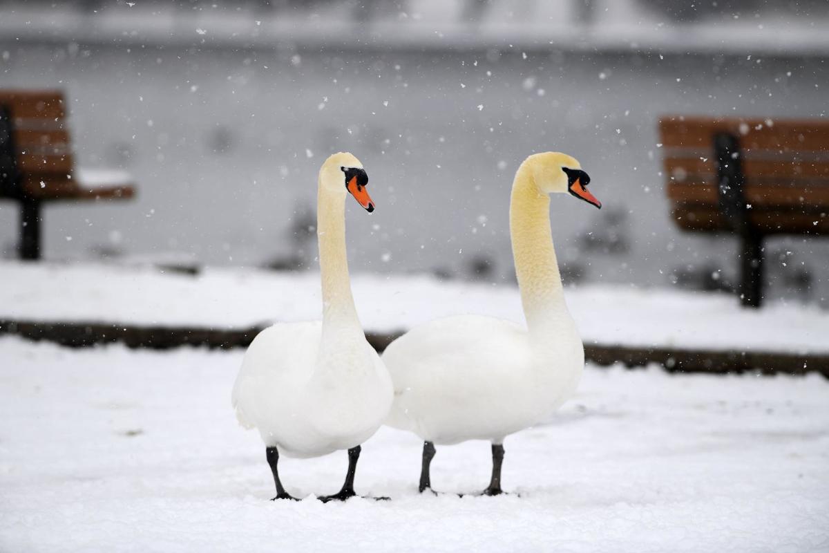 Freezing Rain Tuesday Morning After Monday S Snowfall In