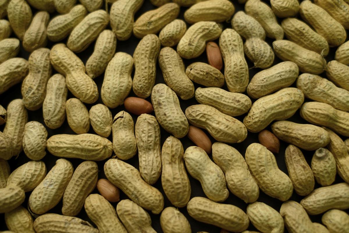 Peanut Allergy