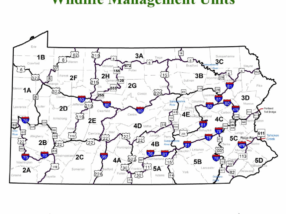 Pennsylvania Prepares For Another Deer Season News Cumberlink Com