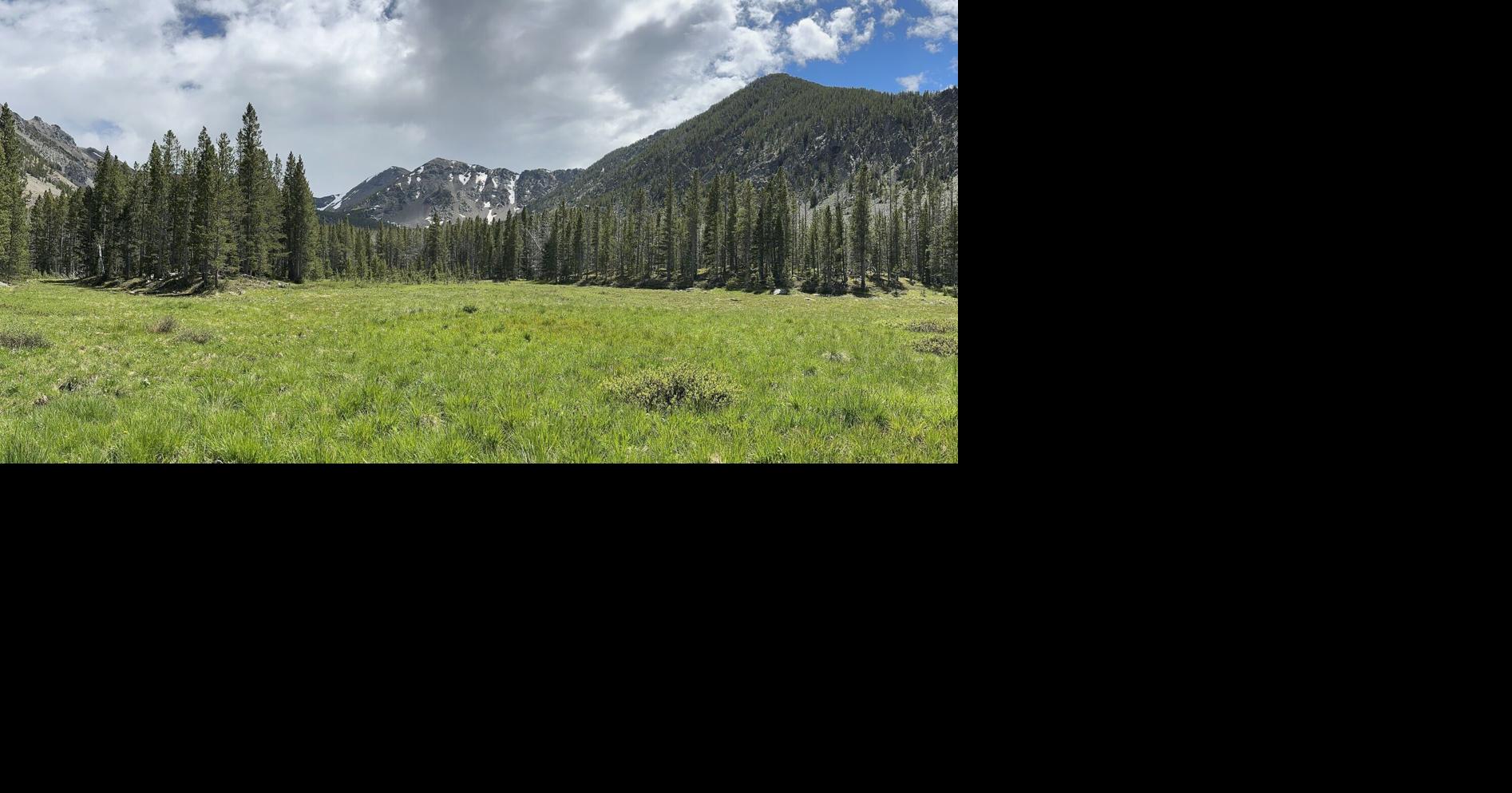 Nonprofit and Forest Service partner to secure recreational access