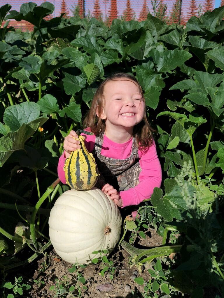 pumpkin patch garden sign