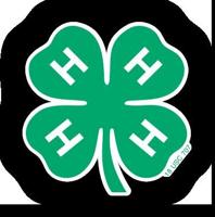 2022 Marias Fair 4-H Livestock Auction to feature Pre-Sale Social with Live and Online Bidding