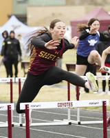 Coyotes and Lady Coyotes excel at home meet