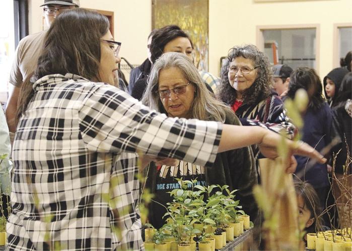 More than 1,400 trees given away at BCC’s Arbor Day celebration