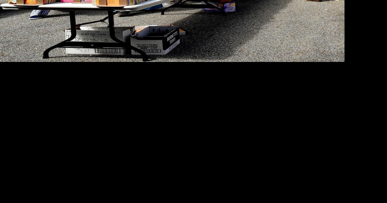 Pine Log festival, Friends' book sale on tap this weekend