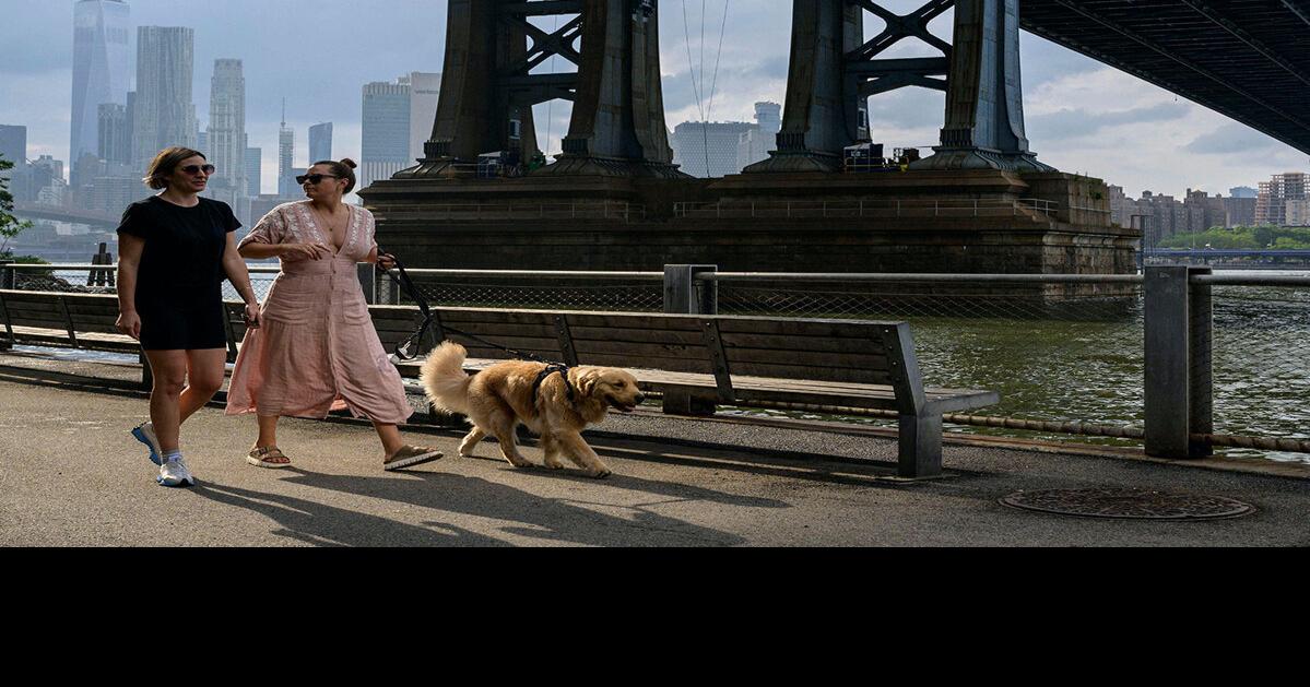 Are pet dogs and cats the weak link in bird flu surveillance?