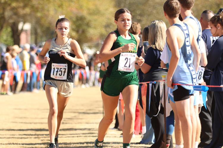 Local teams end season at GHSA State Cross Country Championships