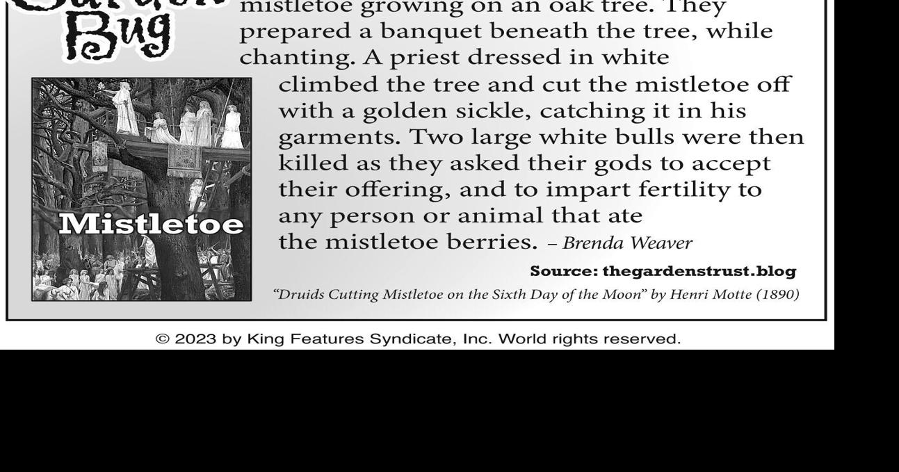 The Garden Bug At Home