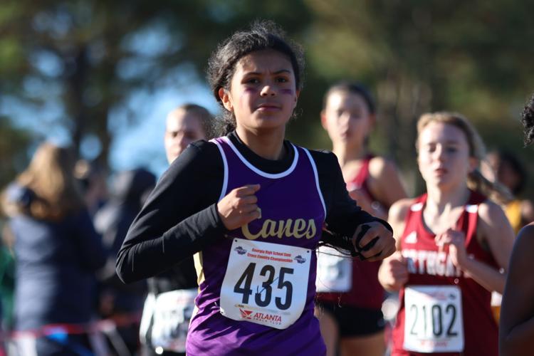 Local teams end season at GHSA State Cross Country Championships