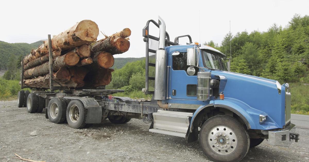 Ga Timber Struggling Georgia timber industry could receive big tax break | News ...