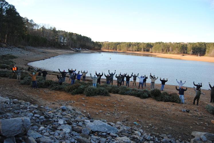 Christmas tree recycling assists fish habitat project Features