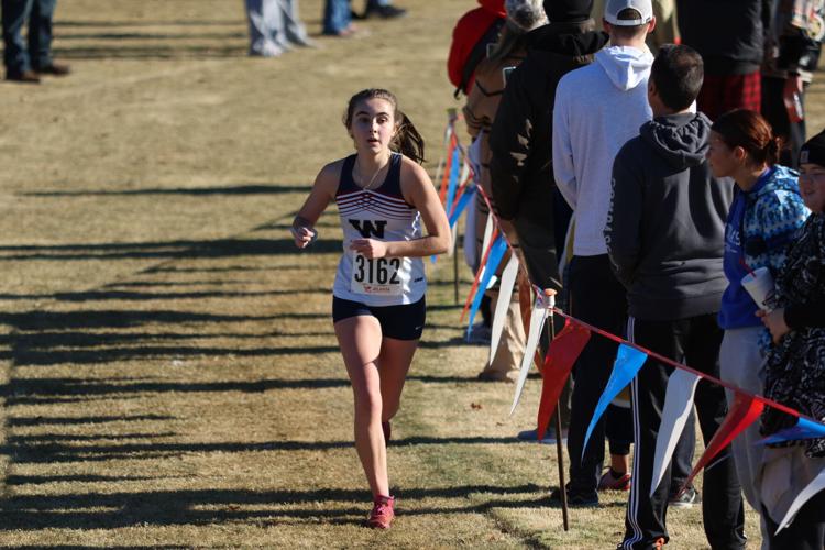 Local teams end season at GHSA State Cross Country Championships