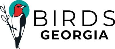 Register for Letters to Birds with J. Drew Lanham