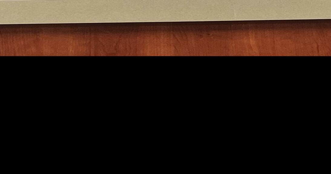 Adairsville City Council approves multiple rezoning applications News