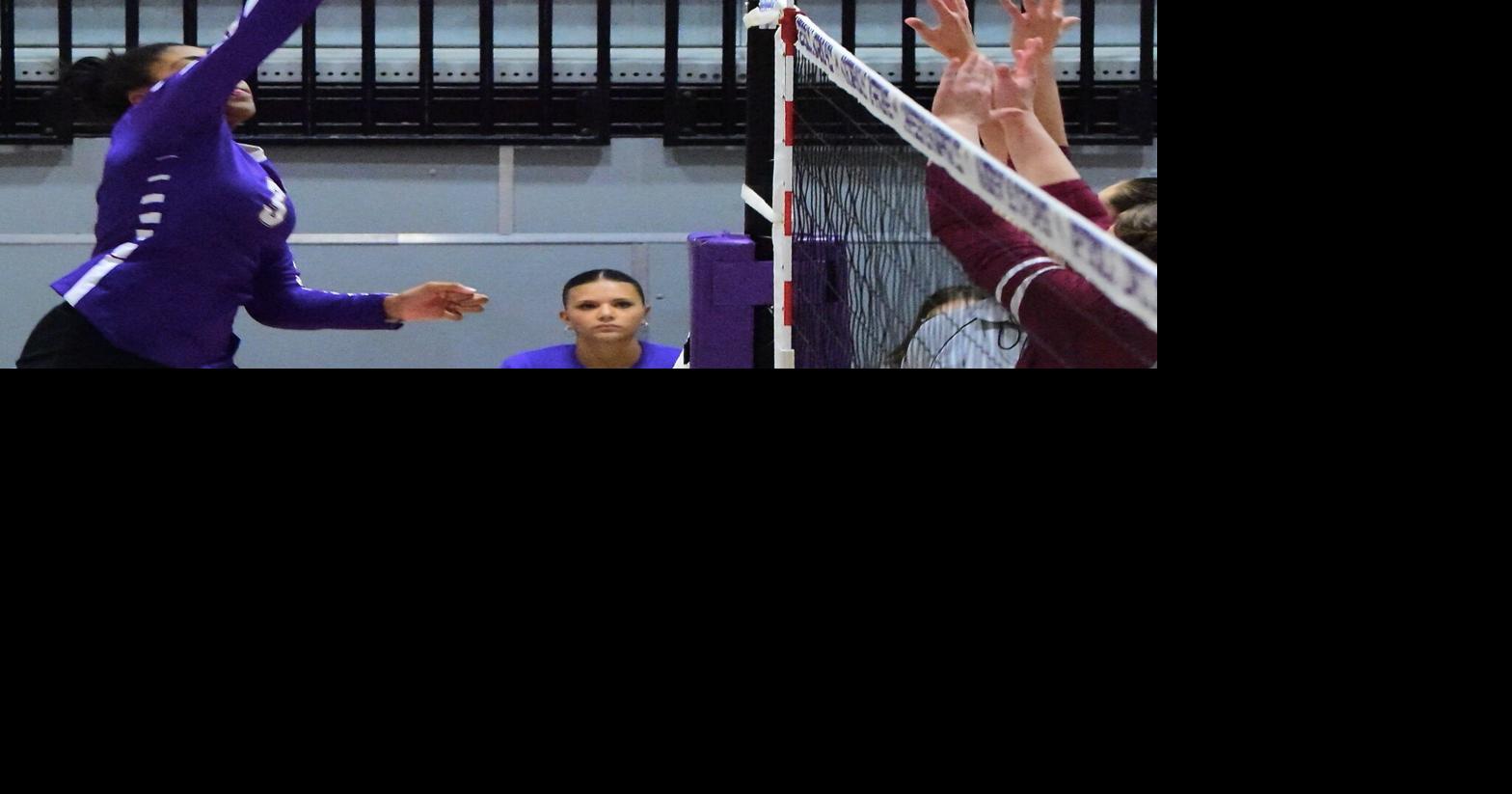 Lady Canes advance to Elite Eight Sports