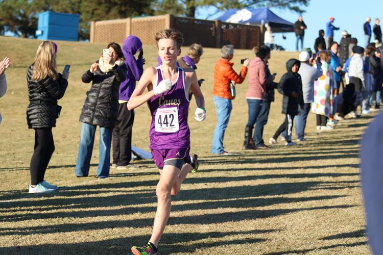 Local teams end season at GHSA State Cross Country Championships