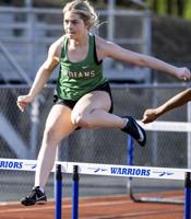 Schmidt stars at sectionals