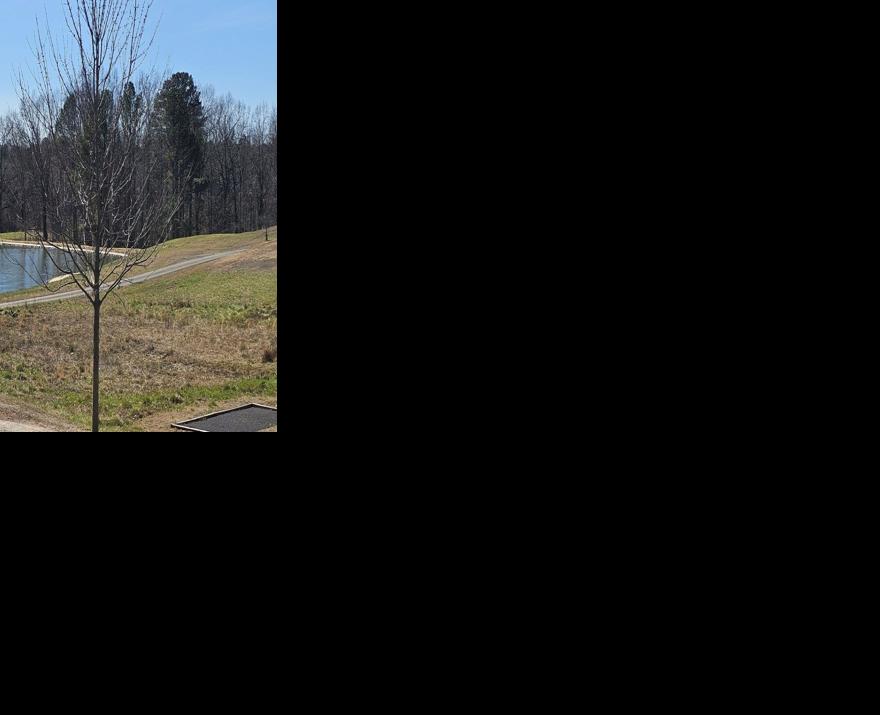 Multi agency effort suppresses wildfire News daily tribune com