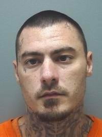 Crime daily tribune com