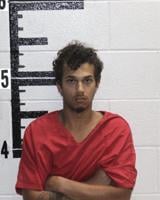 Wilkinson sentenced to 20 years