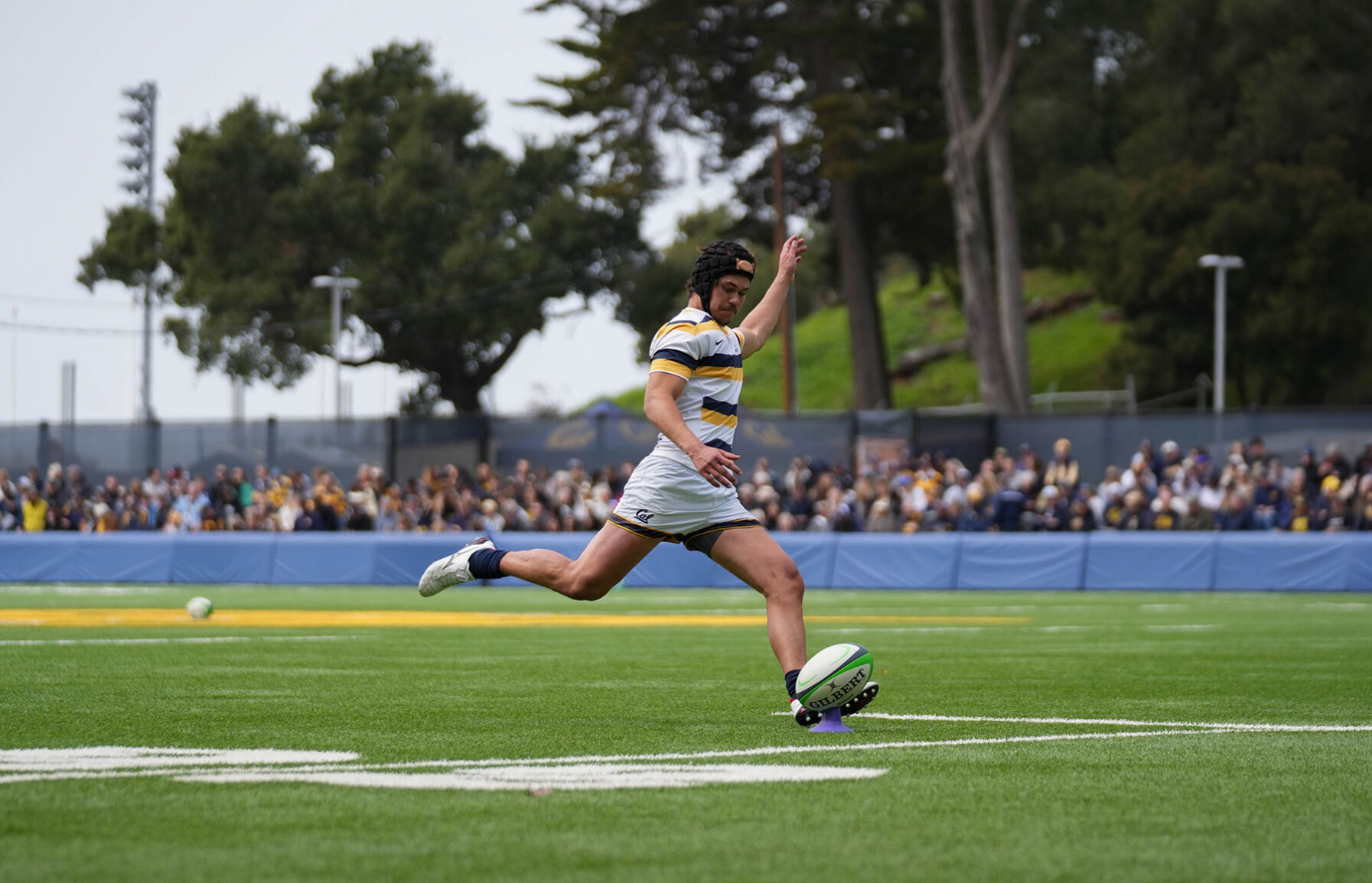 Bears roar in Los Angeles with 2 blowout wins | Rugby | dailycal.org