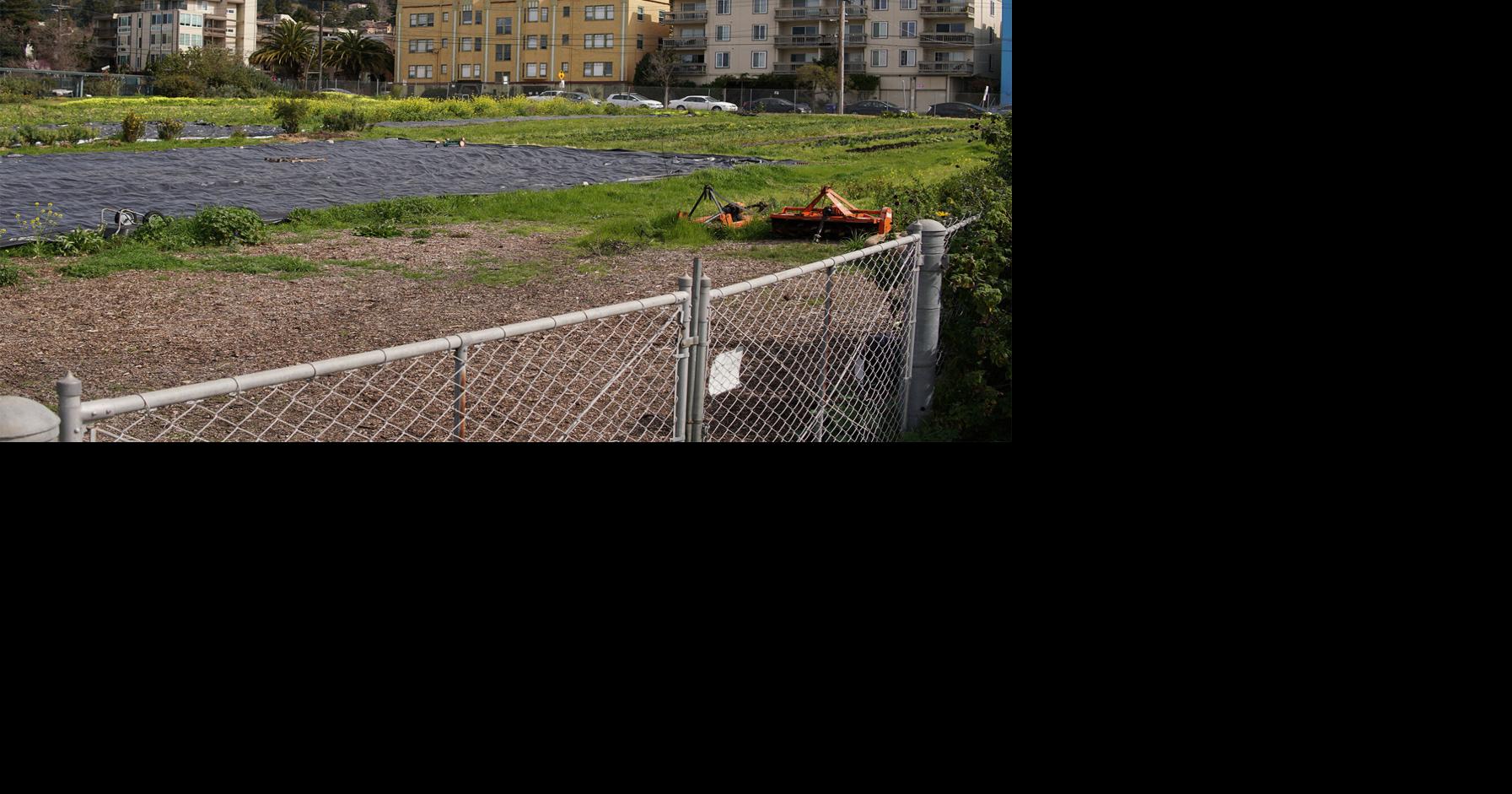 Investing in a sustainable community | Blog | dailycal.org