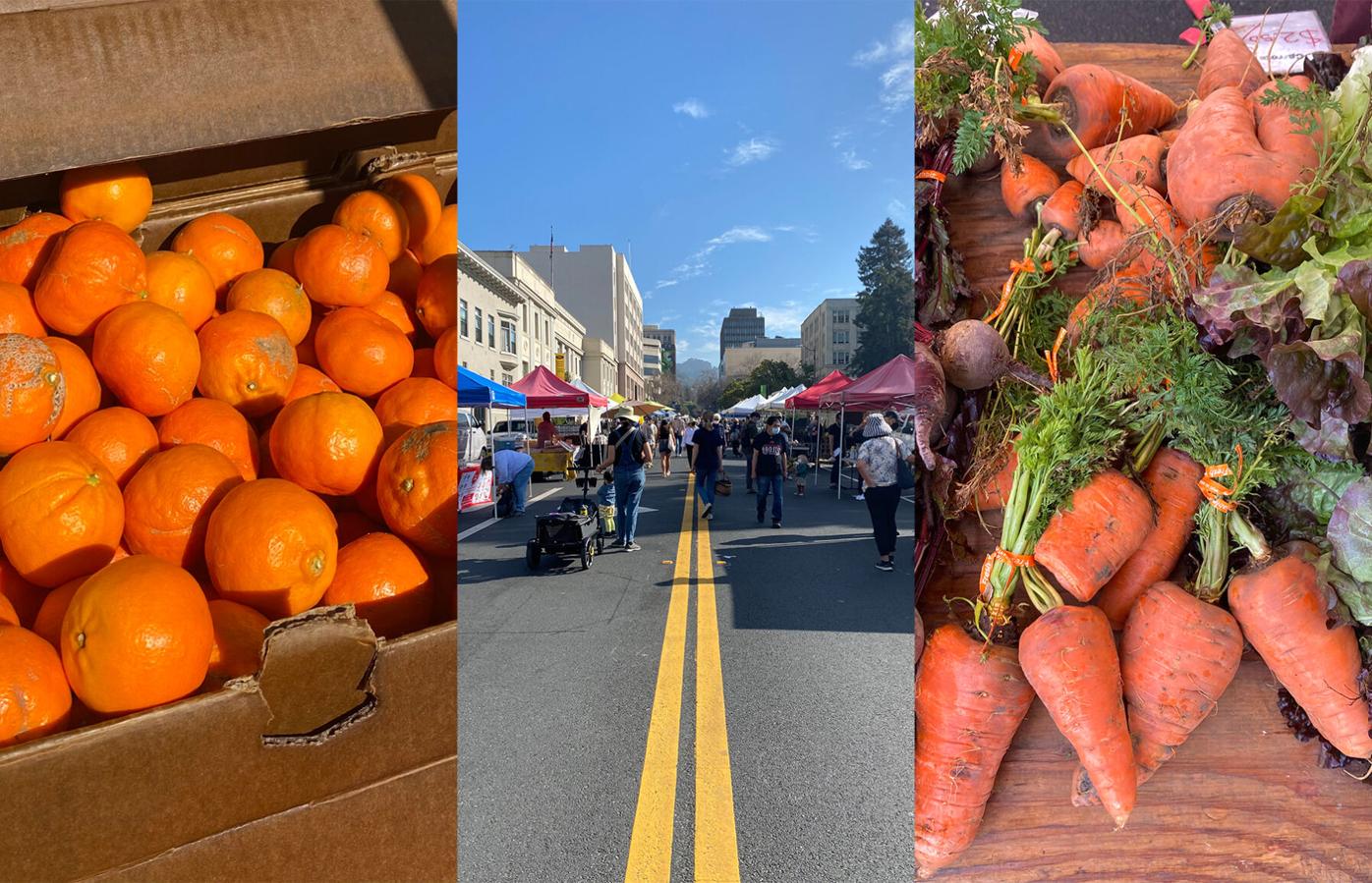 Producing our solution: An edible journey through seasonal produce |  Features | dailycal.org