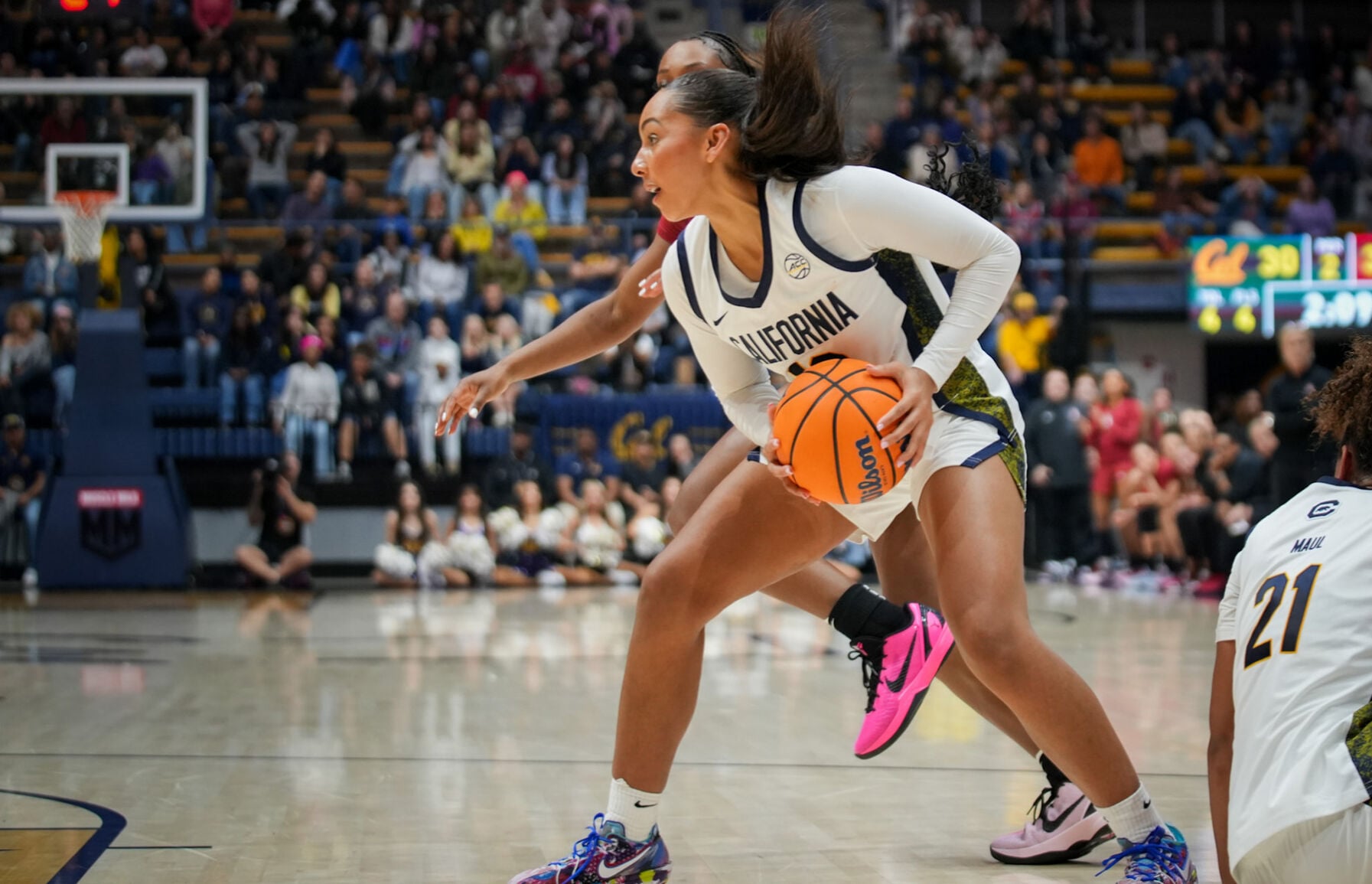 Cal to face Notre Dame at Haas Pavilion | Basketball | dailycal.org