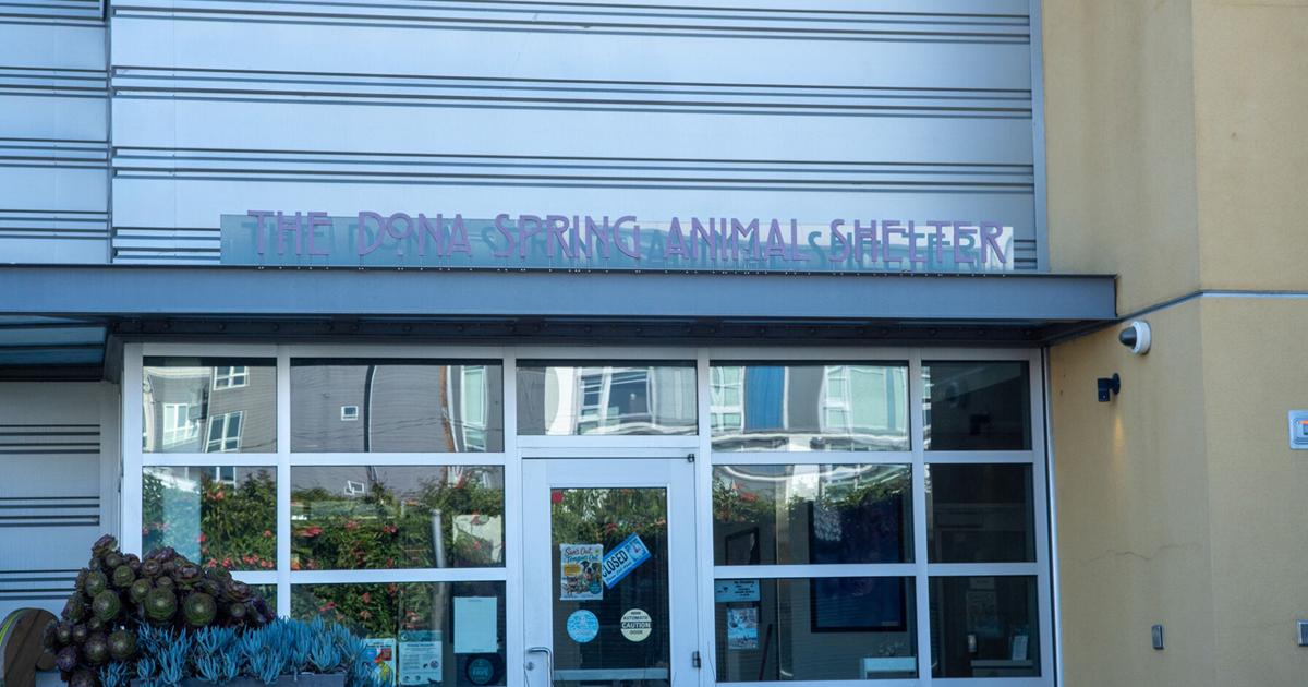 After ‘mass grave’ allegations, Berkeley animal shelter terminates partnership with dog rescue