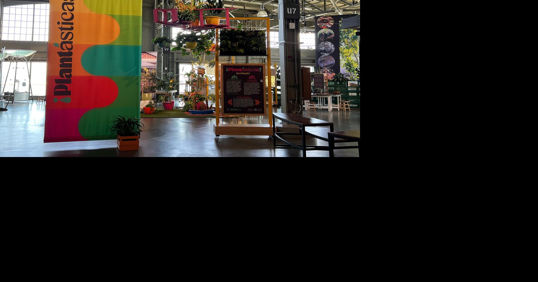 SF Exploratorium’s ¡Plantásticas! showcases Chochenyo culture ...