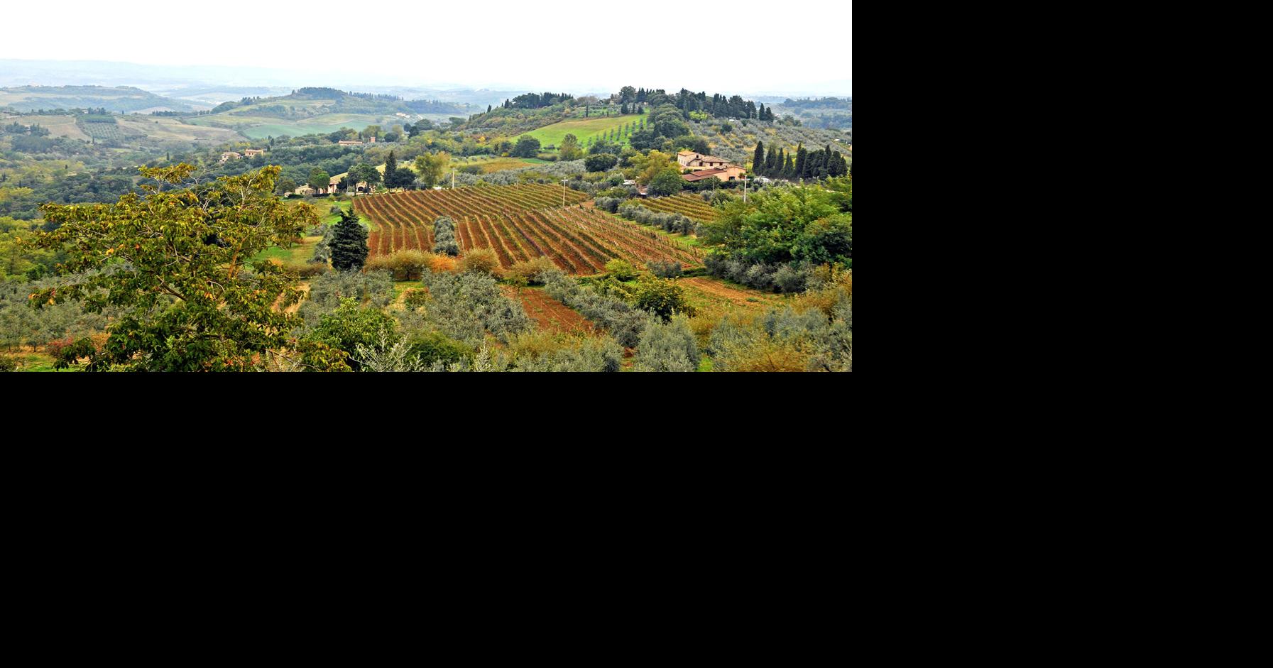 Volunteering on a rural Italian farm | Blog | dailycal.org