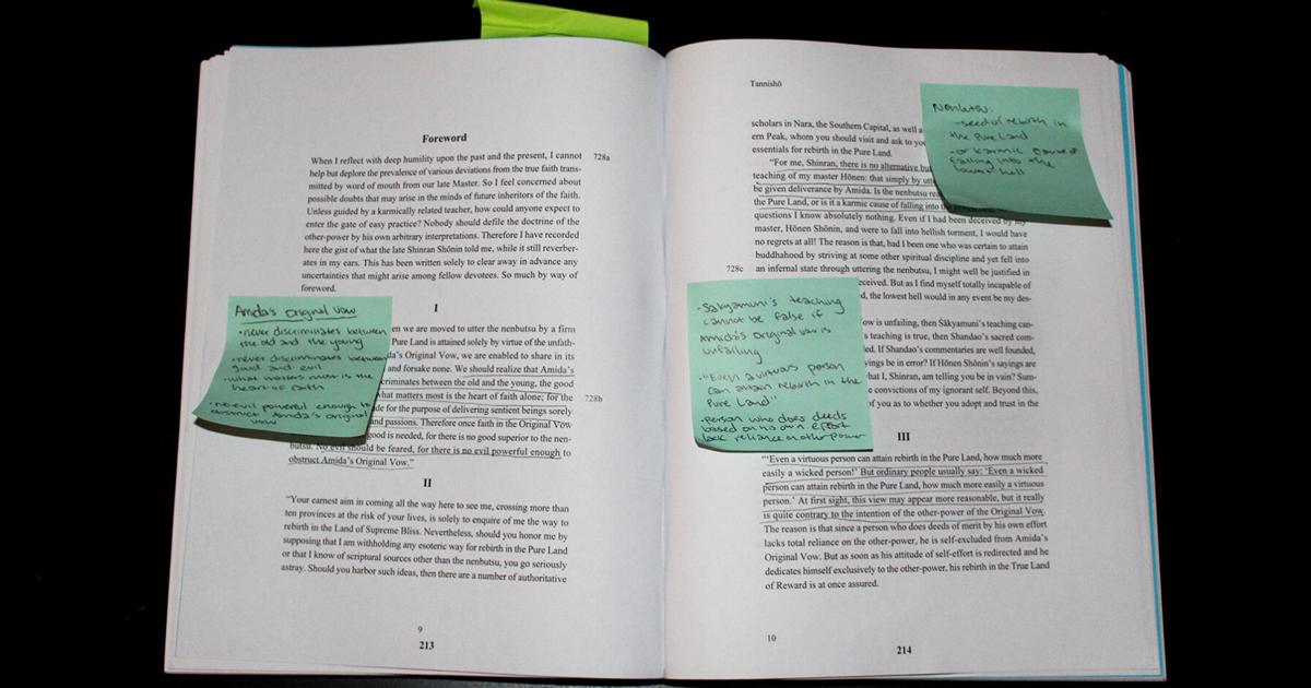 Looking Over Notes How I navigate the odyssey of note-taking | Blog | dailycal.org
