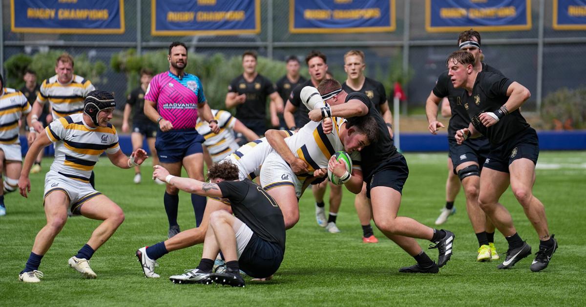 Cal Tech Rugby Cal powers past Army for Homecoming victory | Rugby | dailycal.org
